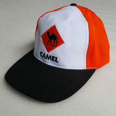 Camel