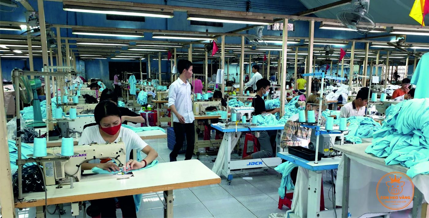 xưởng may đồng phục con heo vàng