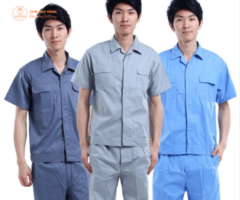 May Bao Ho Lao Dong 2